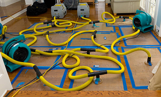Professional Flood Damage Restoration technician working in Mount Angel, OR